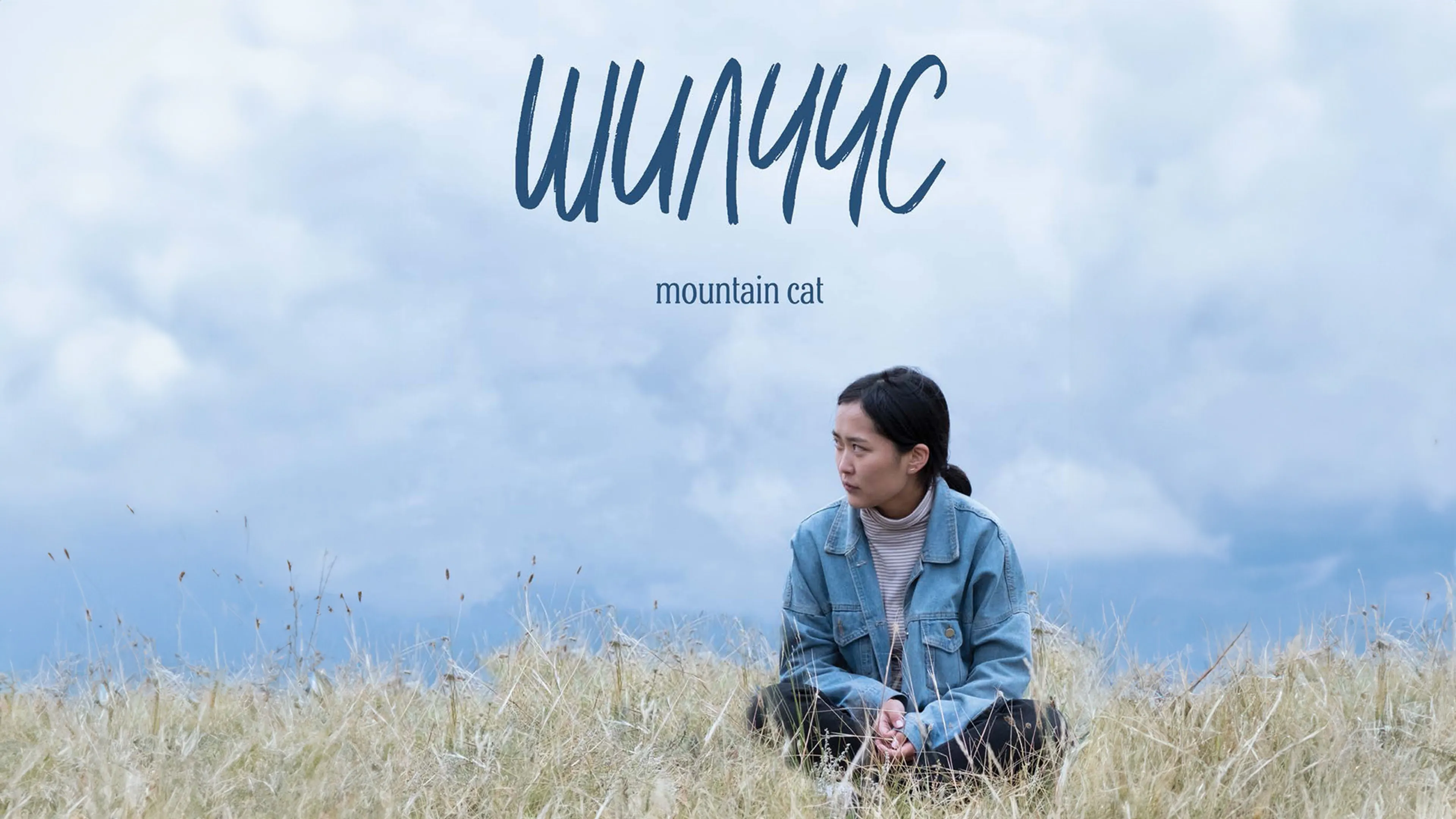 Mountain Cat poster